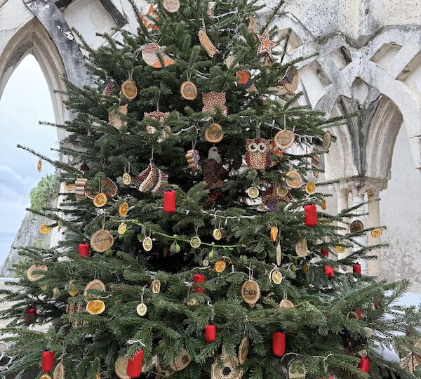 The Biodiversity Tree of Acarbio